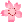 桜の花の画像